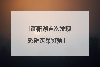 鄱阳湖首次发现彩鹮筑巢繁殖