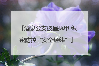 酒泉公安披星执甲 织密防控“安全经纬”