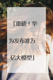 重磅！华为发布准万亿大模型