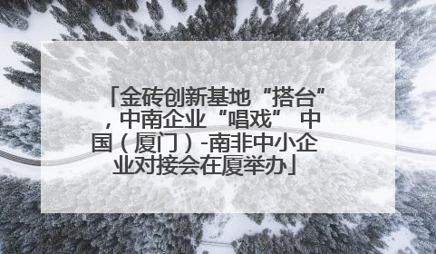 金砖创新基地“搭台”，中南企业“唱戏” 中国（厦门）-南非中小企业对接会在厦举办