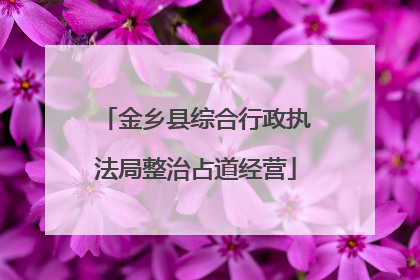 金乡县综合行政执法局整治占道经营