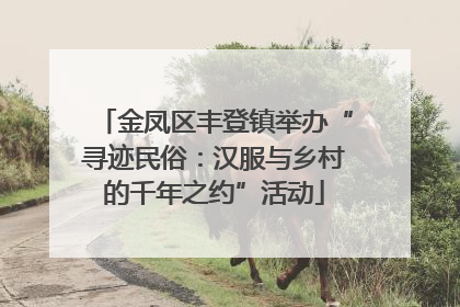 金凤区丰登镇举办“寻迹民俗：汉服与乡村的千年之约”活动