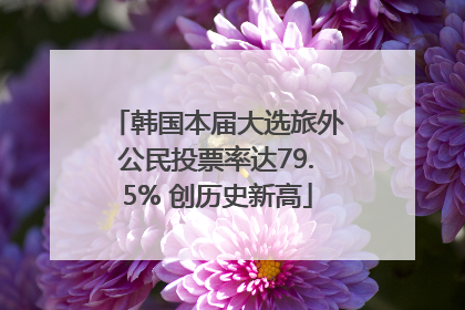 韩国本届大选旅外公民投票率达79.5% 创历史新高