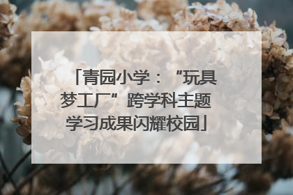 青园小学：“玩具梦工厂”跨学科主题学习成果闪耀校园
