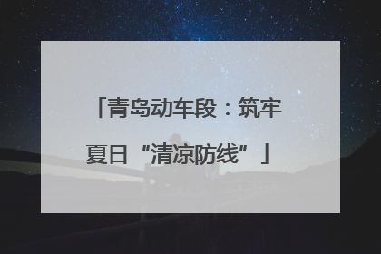 青岛动车段：筑牢夏日“清凉防线”