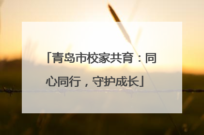 青岛市校家共育：同心同行，守护成长
