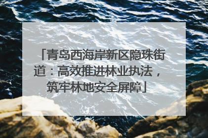 青岛西海岸新区隐珠街道：高效推进林业执法，筑牢林地安全屏障