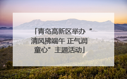 青岛高新区举办“清风拂端午 正气润童心”主题活动
