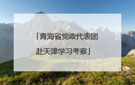 青海省党政代表团赴天津学习考察