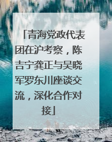 青海党政代表团在沪考察，陈吉宁龚正与吴晓军罗东川座谈交流，深化合作对接