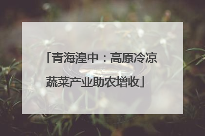 青海湟中：高原冷凉蔬菜产业助农增收