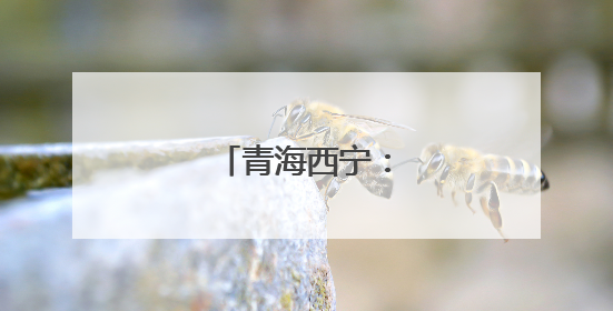 青海西宁：周末享书香
