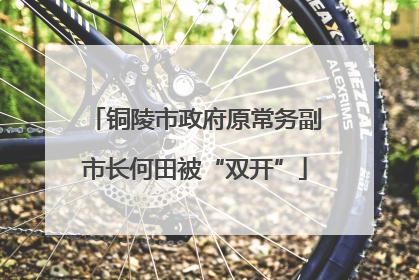 铜陵市政府原常务副市长何田被“双开”