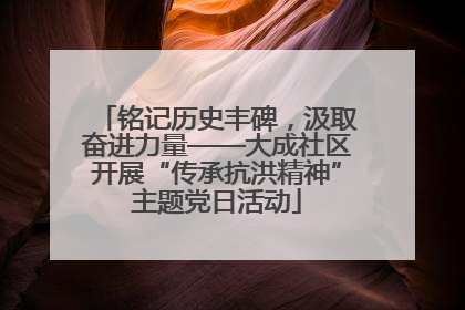 铭记历史丰碑，汲取奋进力量——大成社区开展“传承抗洪精神”主题党日活动