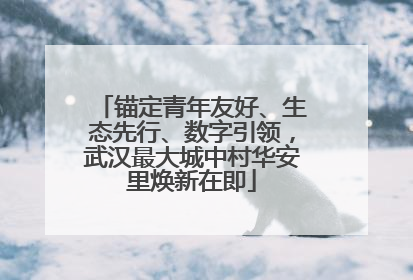 锚定青年友好、生态先行、数字引领，武汉最大城中村华安里焕新在即