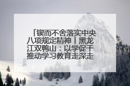 锲而不舍落实中央八项规定精神丨黑龙江双鸭山：以学促干推动学习教育走深走实 从小事入手写好“民生答卷”
