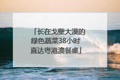 长在戈壁大漠的绿色蔬菜38小时直达粤港澳餐桌