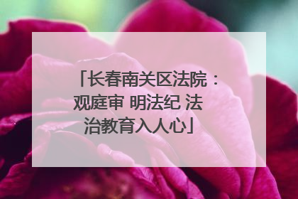 长春南关区法院：观庭审 明法纪 法治教育入人心