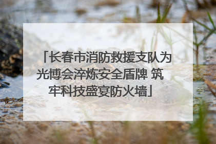 长春市消防救援支队为光博会淬炼安全盾牌 筑牢科技盛宴防火墙