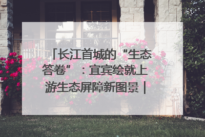 长江首城的“生态答卷”：宜宾绘就上游生态屏障新图景｜中华环保世纪行