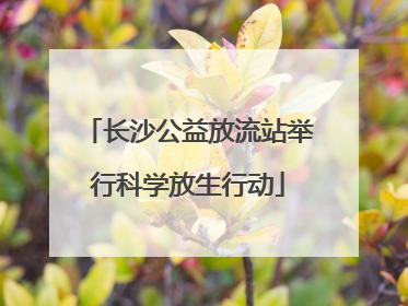 长沙公益放流站举行科学放生行动
