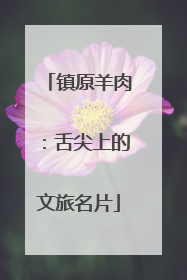 镇原羊肉：舌尖上的文旅名片