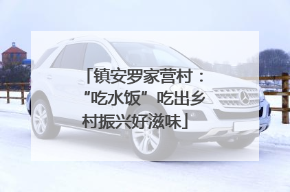 镇安罗家营村：“吃水饭”吃出乡村振兴好滋味