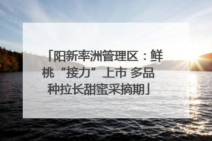 阳新率洲管理区：鲜桃“接力”上市 多品种拉长甜蜜采摘期