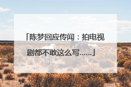 陈梦回应传闻：拍电视剧都不敢这么写……