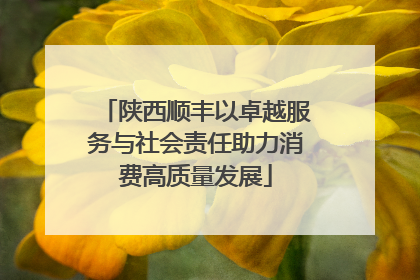 陕西顺丰以卓越服务与社会责任助力消费高质量发展