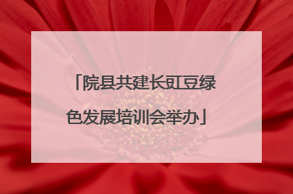 院县共建长豇豆绿色发展培训会举办
