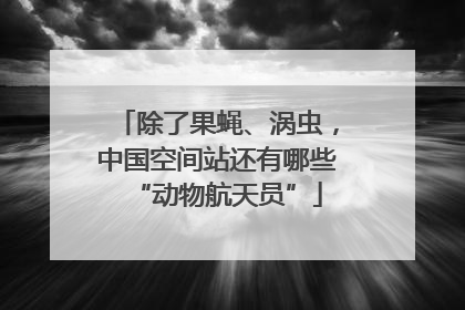 除了果蝇、涡虫，中国空间站还有哪些“动物航天员”