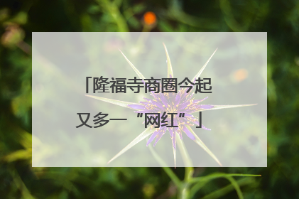 隆福寺商圈今起又多一“网红”