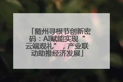 随州寻根节创新密码：AI赋能实现“云端观礼”，产业联动助推经济发展