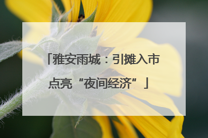 雅安雨城：引摊入市 点亮“夜间经济”