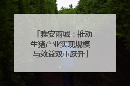 雅安雨城：推动生猪产业实现规模与效益双重跃升