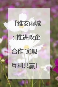 雅安雨城：推进政企合作 实现互利共赢