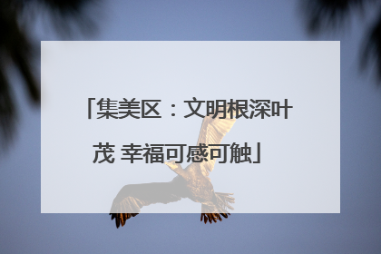 集美区：文明根深叶茂 幸福可感可触