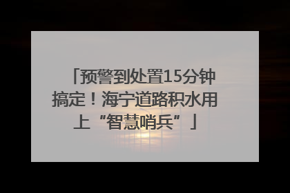 预警到处置15分钟搞定！海宁道路积水用上“智慧哨兵”