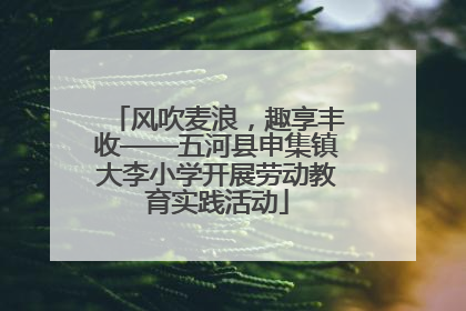 风吹麦浪，趣享丰收——五河县申集镇大李小学开展劳动教育实践活动