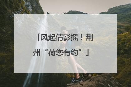 风起倩影摇！荆州“荷您有约”