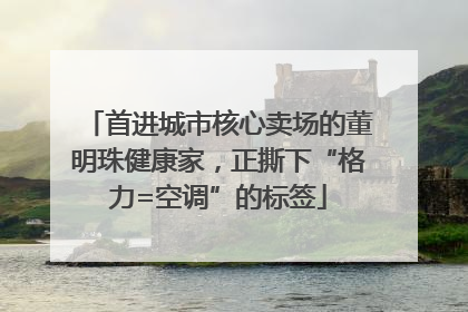 首进城市核心卖场的董明珠健康家，正撕下“格力=空调”的标签