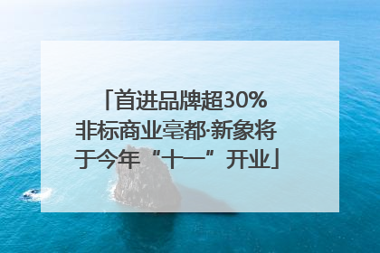 首进品牌超30% 非标商业亳都·新象将于今年“十一”开业