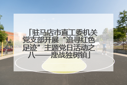 驻马店市直工委机关党支部开展“追寻红色足迹”主题党日活动之八——鏖战独树镇
