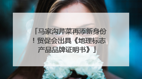 马家沟芹菜再添新身份！贸促会出具《地理标志产品品牌证明书》
