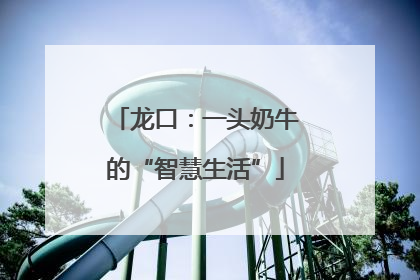 龙口：一头奶牛的“智慧生活”