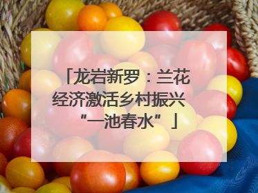 龙岩新罗：兰花经济激活乡村振兴“一池春水”