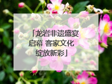 龙岩非遗盛宴启幕 客家文化绽放新彩