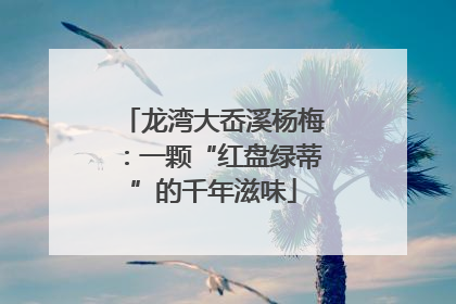 龙湾大岙溪杨梅：一颗“红盘绿蒂”的千年滋味