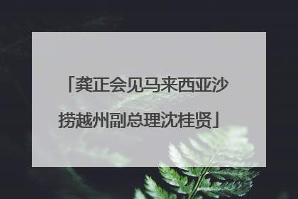 龚正会见马来西亚沙捞越州副总理沈桂贤